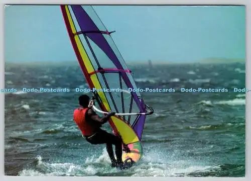 D314784 Ort unbekannt. Surfer. N. 60. Postkarte
