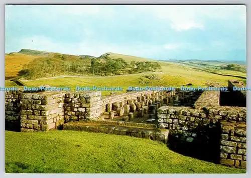 D317610 Northumberland. Römische Mauer in Housesteads. J. Arthur Dixon. Great Britai