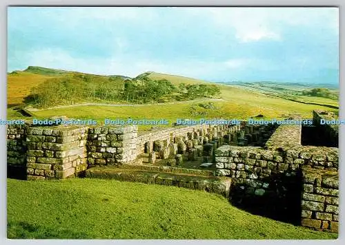 D317611 Northumberland. Römische Mauer in Housesteads. J. Arthur Dixon. Great Britai