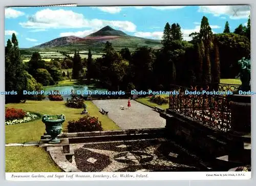 D313815 Powerscourt Gardens. Zuckerhutberg. Enniskerry. Co. Wicklow. Irela