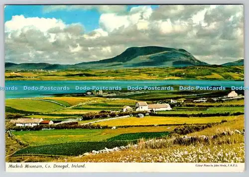 D313817 Muckish Mountain. Co. Donegal. Irland. John Hinde. F.R.P.S. PM Ailta