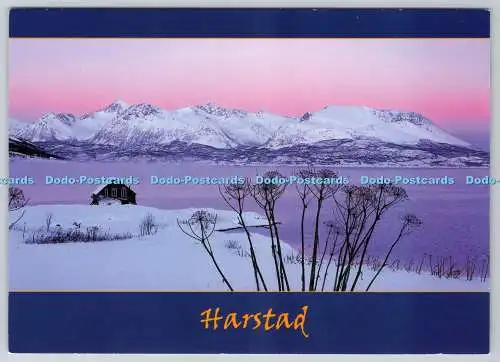 D314803 Norwegen. Harstad. Zum Foto AS. Postkarte