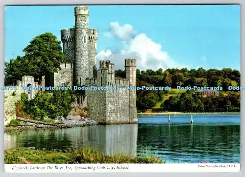 D313820 Blackrock Castle am Fluss Lee. Annäherung an Cork City. Irland. John H