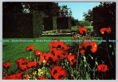D319253 Crathes Castle. Blick zum Seerosenteich. Braemar Folien