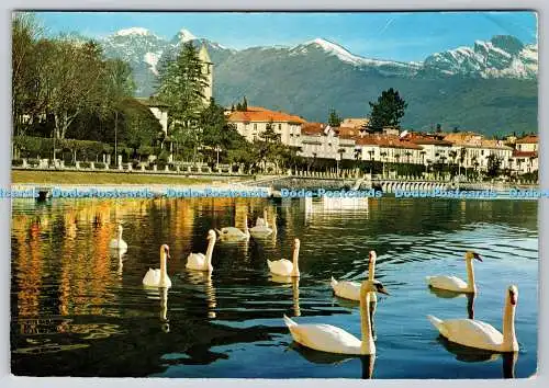 D313874 Baveno. Lago Maggiore. Artigrafiche Fotostampa Reggiori. Laveno M. VA It