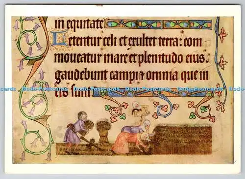 D313876 Ernte- und Bindescheiben. Luttrell Psalter. The British Library Board