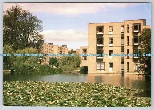 D319280 University of York. Langwith College. David Whiteley. 1986