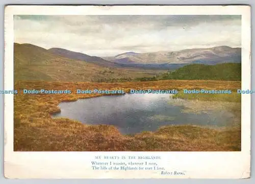 D314864 Schottland. Cairngorms aus dem Norden. Meine Herzen in den Highlands. Medici