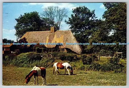 D313883 New Forest. Hampshire. Szene in der Nähe von Bach mit Waldponys. J. Arthur Di