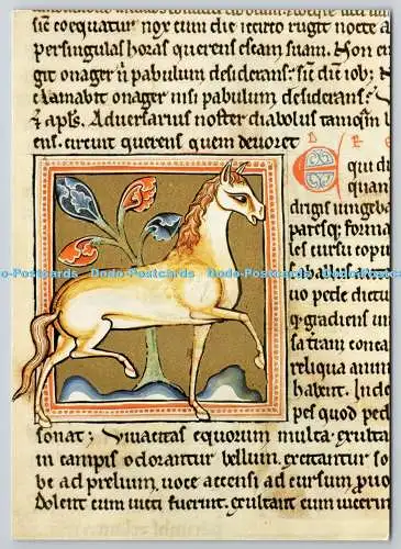 D322934 Das Pferd. Aus dem Ashmole Bestiarium. Bodleian Library. Oxford. Akademis