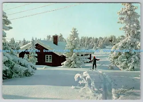 D314881 Winter in Norwegen. Normanns Kunstforlag A.S. Oslo. V 533. Postkarte