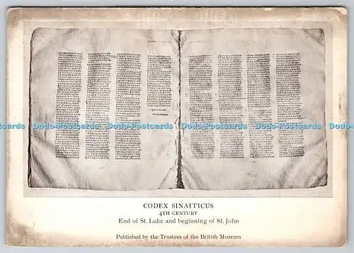 D313930 Codex Sinaiticus 4.Jh. Treuhänder des British Museum. Emery Walk
