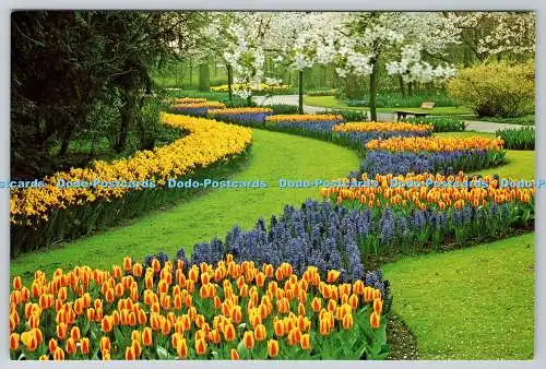 D319330 Keukenhof. Lisse Holland. Planeta