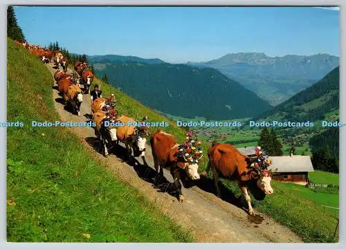 D313933 Schweiz. Alpabfahrt. Fotoglob Zürich Vevey