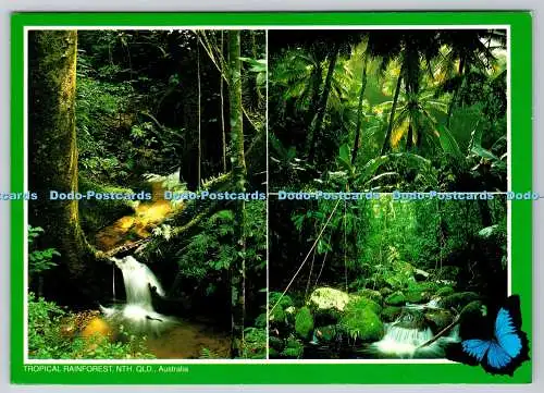 D319343 Australien. NTH. QLD. Tropischer Regenwald. Peer Productions. P. Gobert. P