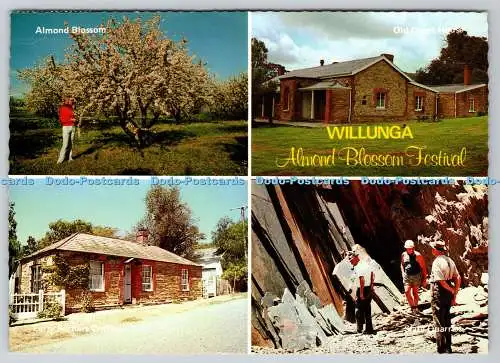 D319344 Willunga. Mandelblütenfest. Eine Pitt-Karte. Multi View