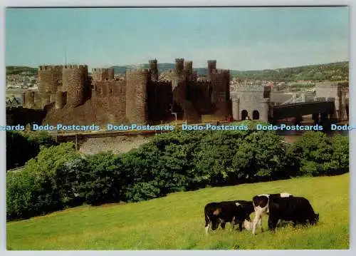 D314929 Gwynedd. Conwy Castle. Blick von Süden. Druckerei Larkfield.