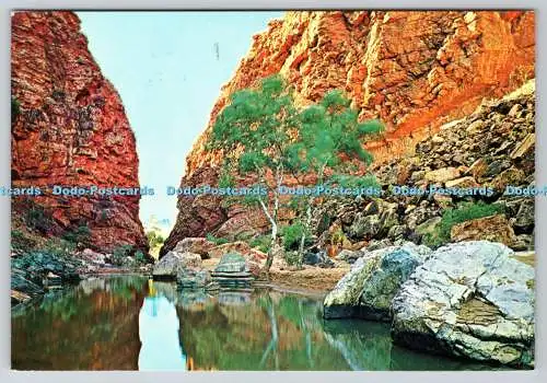 D319347 Zentralaustralien. Simpson Gap. National View. Murfett