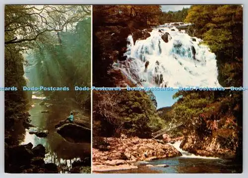 D314931 Gwynedd. Betws y Coed. Fairy Glen. Schwalbenfälle. Bergmannsbrücke. Cyfarch