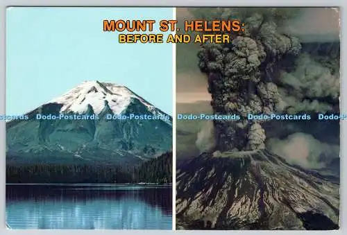 D314992 Mount St. Helens. Vor und nach dem Ausbruch 1980. Mike Roberts Co