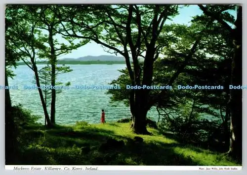 D317814 Irland. County Kerry. Killarney. Muckross Estate. Joan Willis. John Hin