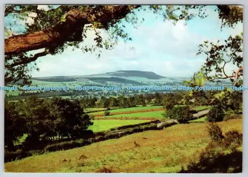 D319417 Wensleydale. Yorkshire. Penhill von Leyburn Schal. Walter Scott. Bradfo