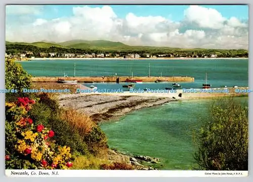 D317833 Nordirland. County Down. Newcastle. John Hinde. F.R.P.S. Dublin