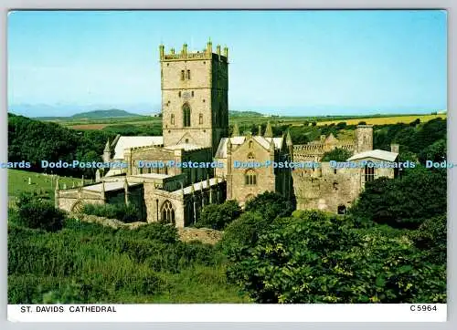 D317898 Wales. Pembrokeshire. St. Davids Cathedral. Richter Postkarte. Hastings. E