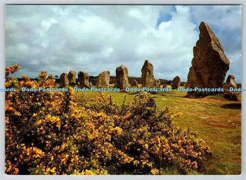 D319498 Carnac. les Ajoncs et les Menhirs. Jos