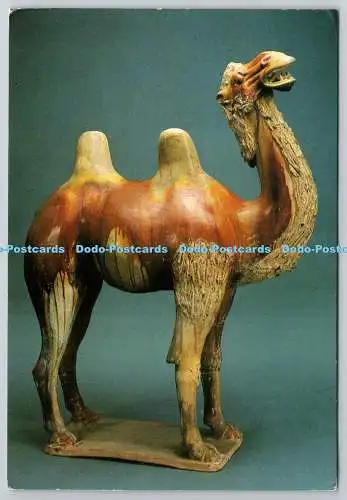 D323138 Farbe glasierte Keramik Kamel. Tang Dynastie. Museumsfarbe chinesischer Cer