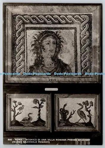 D323143 Roma. Mosaico di una Villa Romana Presso Baccano. Museo Nazionale Romano