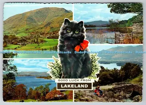 D315090 Viel Glück aus Seenland. Schwarze Katze. Grasmere. Rydal Water. Windermere. A