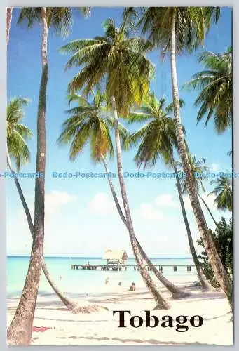 D319508 Tobago. Taubenspitze. Zenith Services. Christine Yhap. Kürbis Fotos