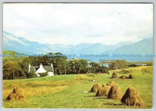 D315104 Isle of Skye. Erntezeit auf Isle Ornsay. J. Arthur Dixon. Schottland. DR