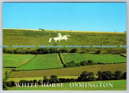 D317943 Dorset. Weymouth. Osmington. White Horse. J. Salmon. Sevenoaks. Cameraco