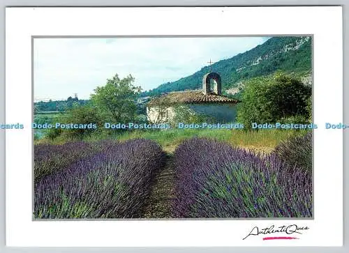 D315150 Lavanda und Kapelle im Hintergrund. AuthentiQues. Editions S.M.D.Im