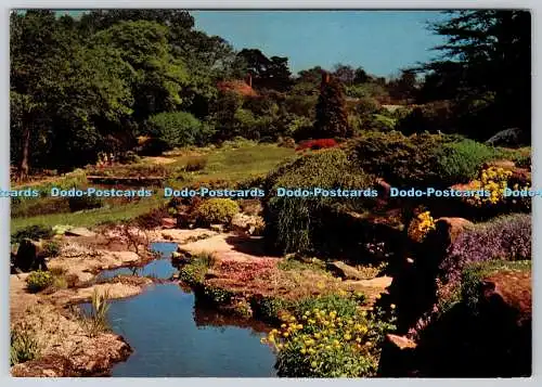 D323203 R.H.S. Garden. Wisley. Der Steingarten. Elsa Megson. Jarrold and Sons
