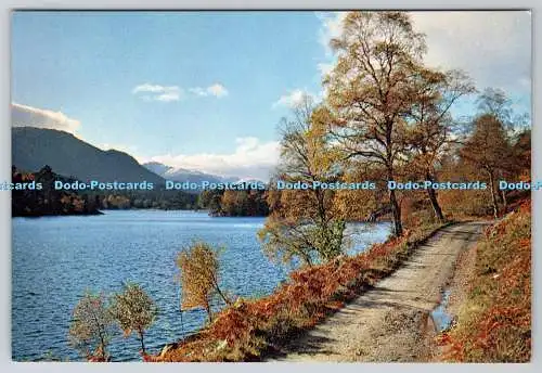 D315173 Inverness Shire. Glen Affric. Loch Beneveian. Alex. H. Hamilton. J. Arth