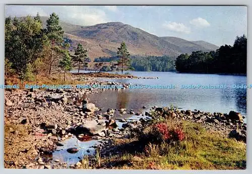 D315205 Schottland. Inverness Shire. Aviemore. Loch an Eilean. Alex. H. Hamilton.