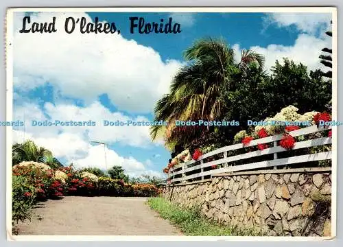 D323296 Die Golfküste von Florida. Robert Glander. Sun Coast Post Cards Inc. Lar