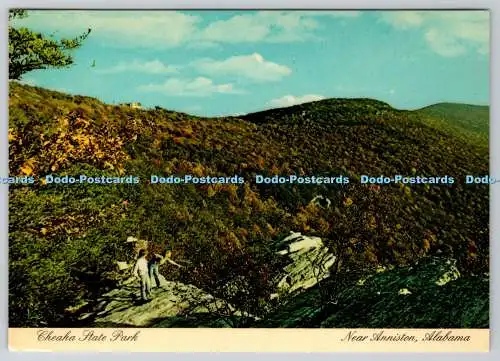 D323297 Cheaha State Park. In der Nähe von Anniston. Lineville. Alabama. Terry M. Hill. Env