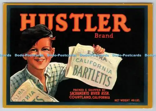 Marke D323300 Hustler. Extra. California Bartletts. Sacramento River Assn. Hof
