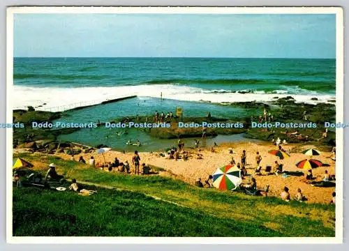 D319702 Ballitoville Tidal Pool. Ballito Bay. Nordküste. Protea Farbdrucke