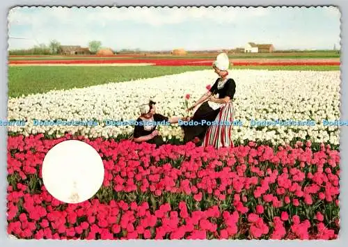 D323377 Tulpen. WBS. N.V.vh Weenenk und Snel. Baarn