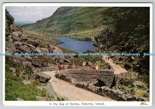 D323384 In the Gap of Dunloe. Killarney. Die Smaragdinsel. Irland. Postkarte De