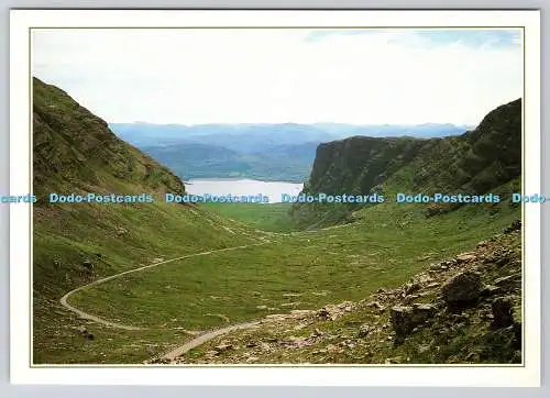 D315349 Ross Shire. Pass des Viehs auf der Straße nach Applecross. Ronald W. Weir. AM