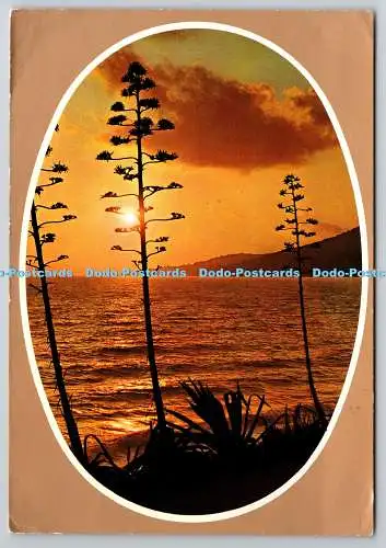 D318167 Sonnenuntergang. Garami. Milano. Naturfarben. Italien. PM. St. Gratien. 1979
