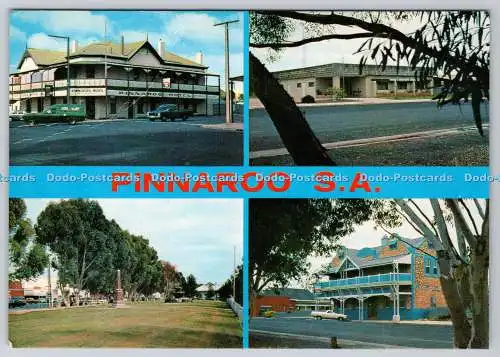 D319831 Pinnaroo S.A. Lawns and Main Street. Eine kitzige Karte. Multi View