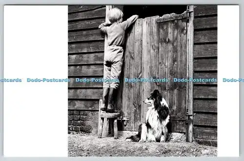D315408 Blick über Stalltür. John Gay 1963. English Heritage Archive. Postc