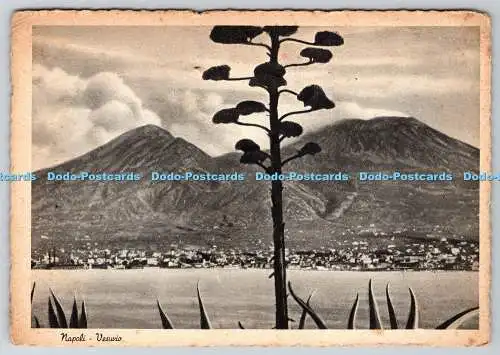 D319885 Napoli. Vesuvio